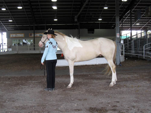 Sierra at show